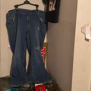 Lane Bryant jeans